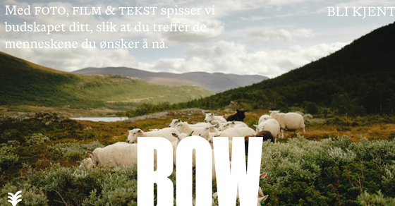 Cover thumbnail of "BOW"