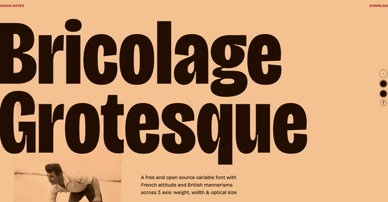 Cover thumbnail of "Bricolage Grotesque"