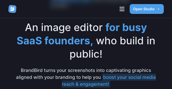 Cover thumbnail of "Brandbird.app"