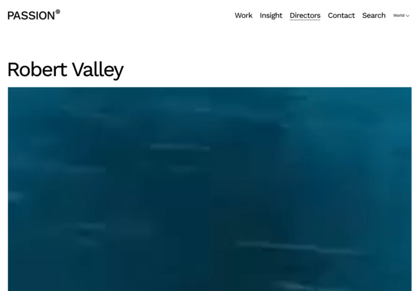 Cover thumbnail of "PASSION PICTURES – Robert Valley"